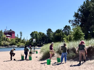 Superior Watershed Partnership leads beach grass planting at McCarty’s Cove alongside Michigan Healthy Climate Fellows